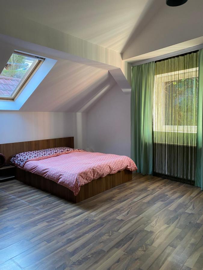 Villa Zetta Брашов Екстер'єр фото