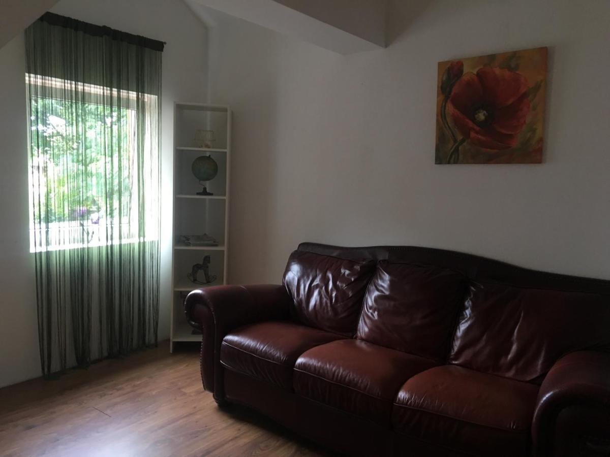 Villa Zetta Брашов Екстер'єр фото